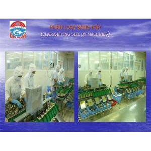 Cty CP CBTS XNK Kiên Cường